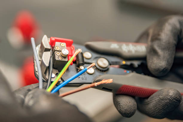 Best Industrial Electrical Services  in Wanamingo, MN