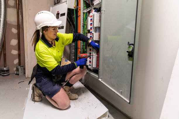 Best Electrical System Inspection  in Wanamingo, MN