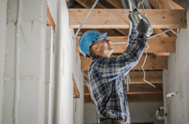 Best Licensed Electrician  in Wanamingo, MN