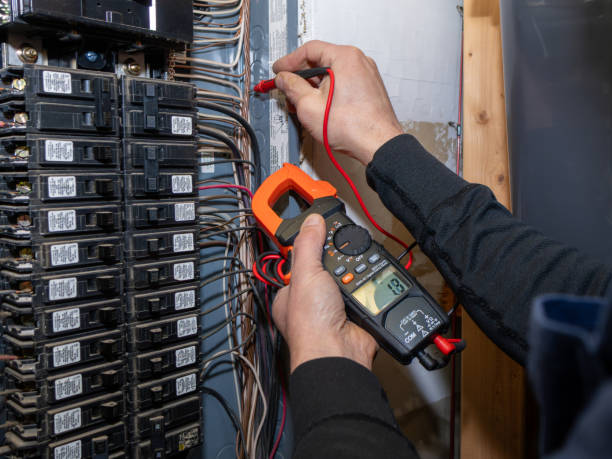 Best Residential Electrician Services  in Wanamingo, MN